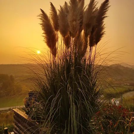 Helix 1912 San Damiano dʼAsti